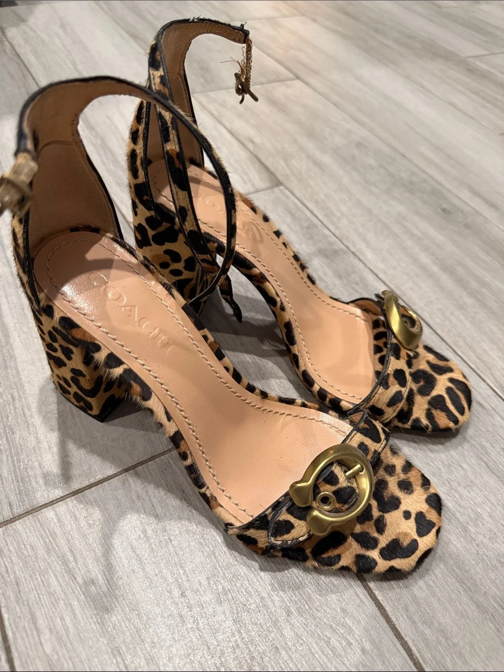Coach Leopard-Print Block Heel Slingbacks with Gold Hardware